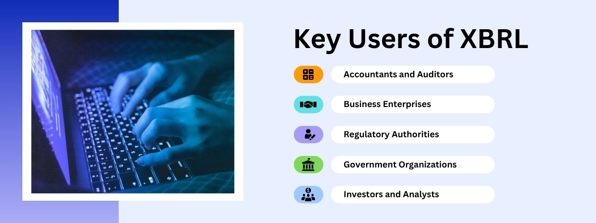 Users of XBRL
