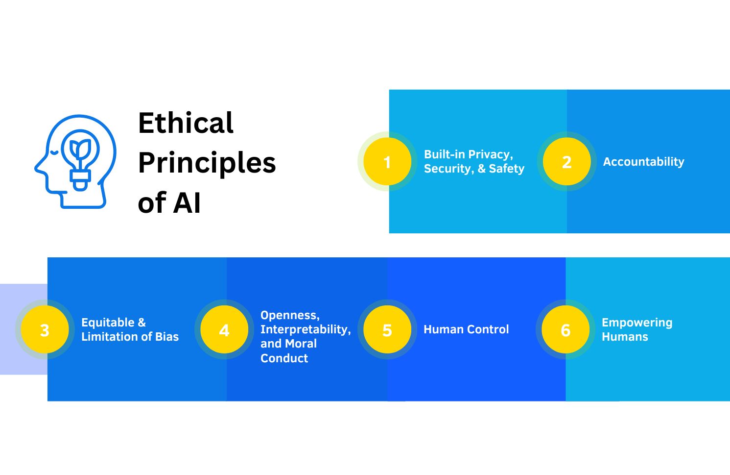 Ethical Principles of AI 